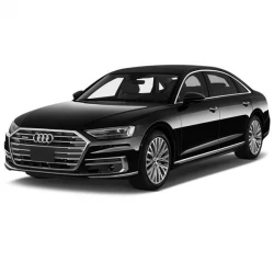 Фары и запчасти оптики для Audi A8 (d5), 18 - 