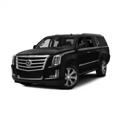 Фары и запчасти оптики для Cadillac Escalade, 15 - 20 